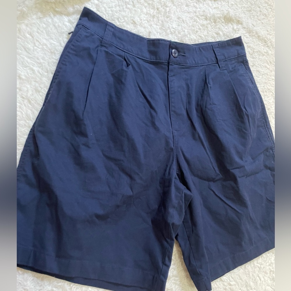 Hollister Dark Blue Flat Front Shorts